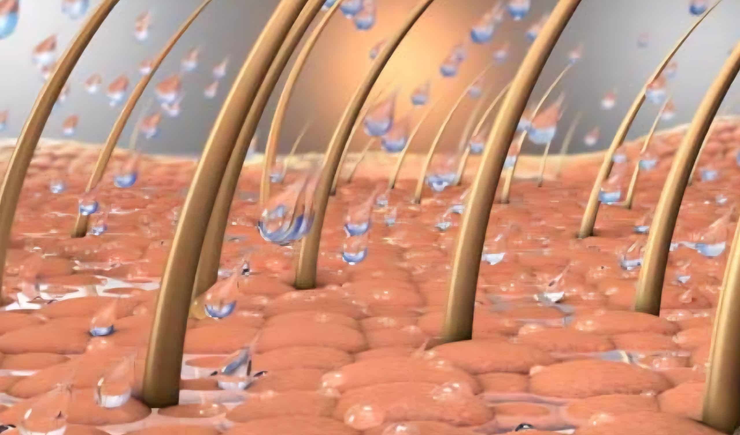 ¿Cuánto tarda una crema en absorberse en la piel? Ilustración del proceso de penetración cosmética a través de la epidermis.